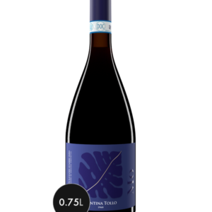 mo montepulciano d'Ã¬abruzzo dop riserva cantina tollo