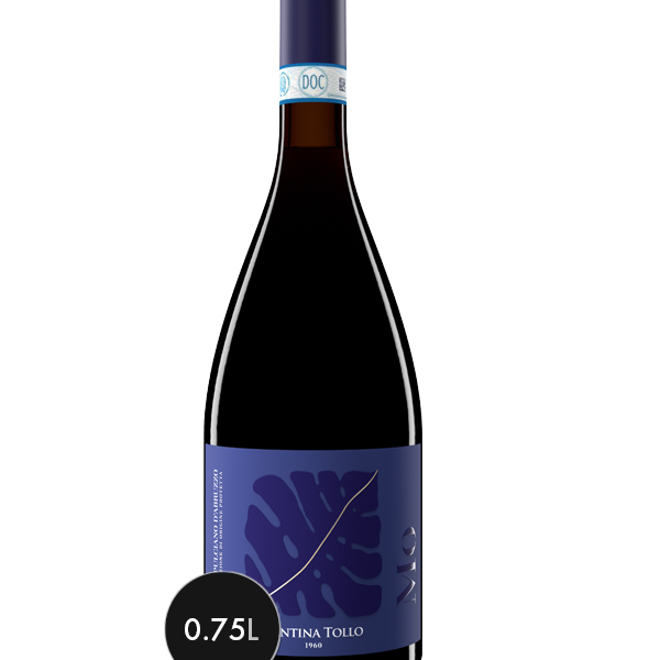 mo montepulciano d'Ã¬abruzzo dop riserva cantina tollo