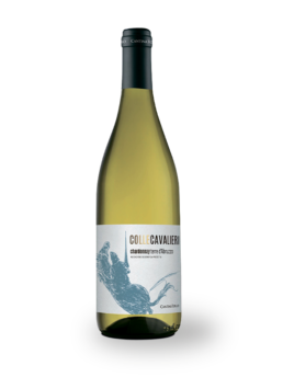 chardonnay cantina tollo colle cavalieri
