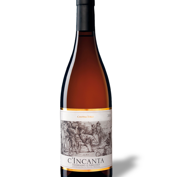 C'incanta Cantina Tollo