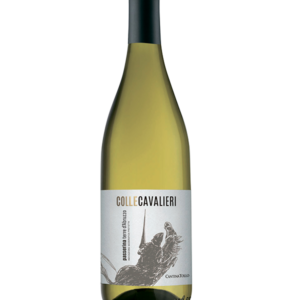 passerina cantina tollo colle cavalieri